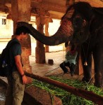 lakshmi Lakshmi...for blessing me with her trunk when I gave her a coin. 7/29/10