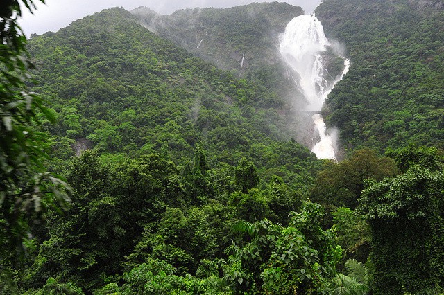 Monsoonal Goa