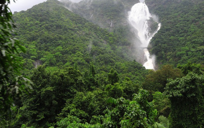 Monsoonal Goa