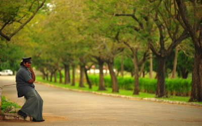Being Sore For Mysore: 3rd Sex’es, History, And Bollywood Gardens