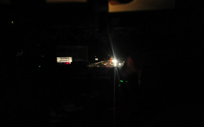 “The Story With Animals Is The Better Story.”