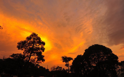 Returning To Jodhpur