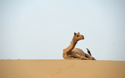 The Beauty Of Relevance