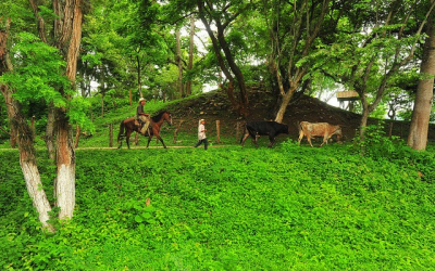 Getting Out Of ‘The World’s Murder Capital’: San Pedro Sula