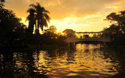 A Christmas In Buenos Aires