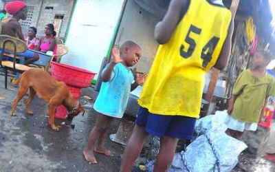 The “Official” Warning In Haiti