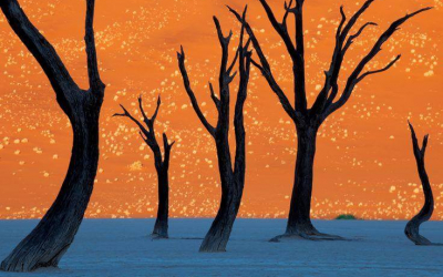 Meet The Monsooners Of Southern Africa