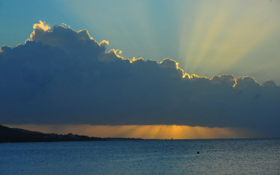 Veni, Vidi, Vieques!