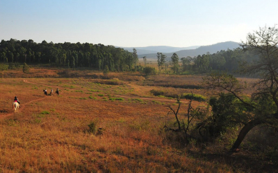 From Mozambique To Eswatini