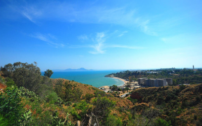 Detour To Sidi Bou Said