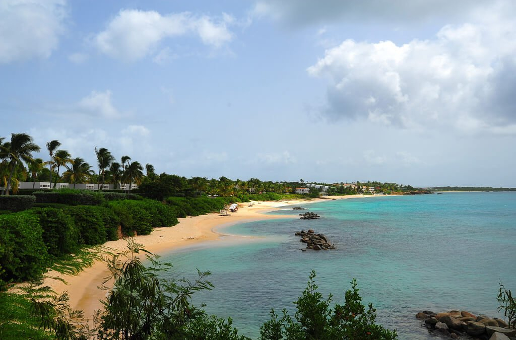 Angsty Anguilla