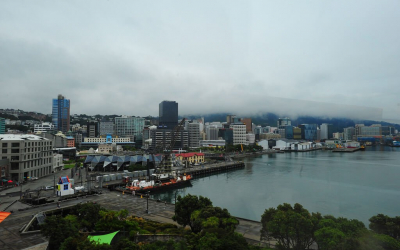 Well Well Well, Wellington