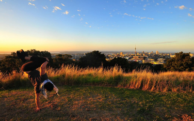 Make Auckland Awkward Again