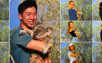 Don’t Go Cairns Chasin’ Waterfalls