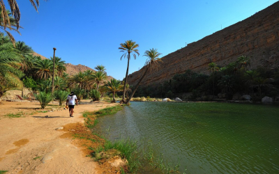 Wadi Bani Khalid: An Oasis In The Desert