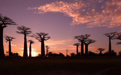 Meet The Monsooners Off The Eastern Coast Of Africa!
