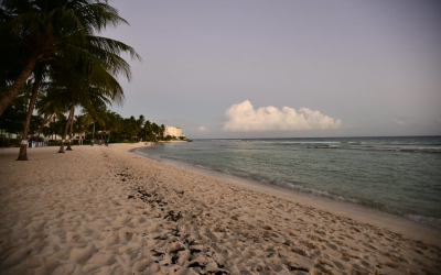 Raising The Barbados