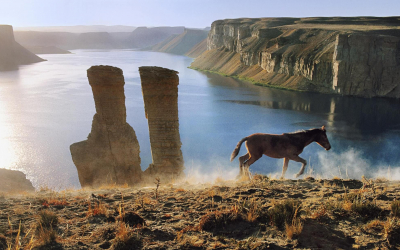 Meet The Monsooners To Afghanistan!