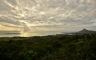 More Riches in Mauritius Delicious