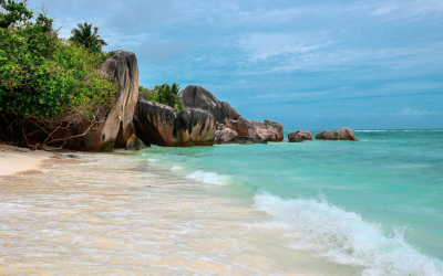 Do You See Shells in Seychelles on the Sea Shore?