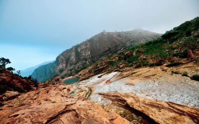 Socotra-pped On An Island Paradise: Day 2 – Arher Ahoy!