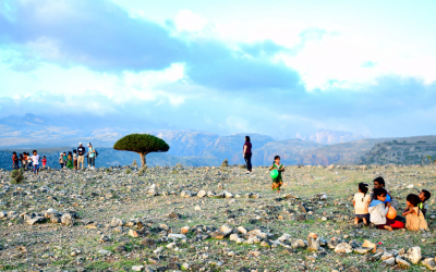 Socotra-pped On An Island Paradise: Day 4 – Where There May Be Dragons In Dixsam