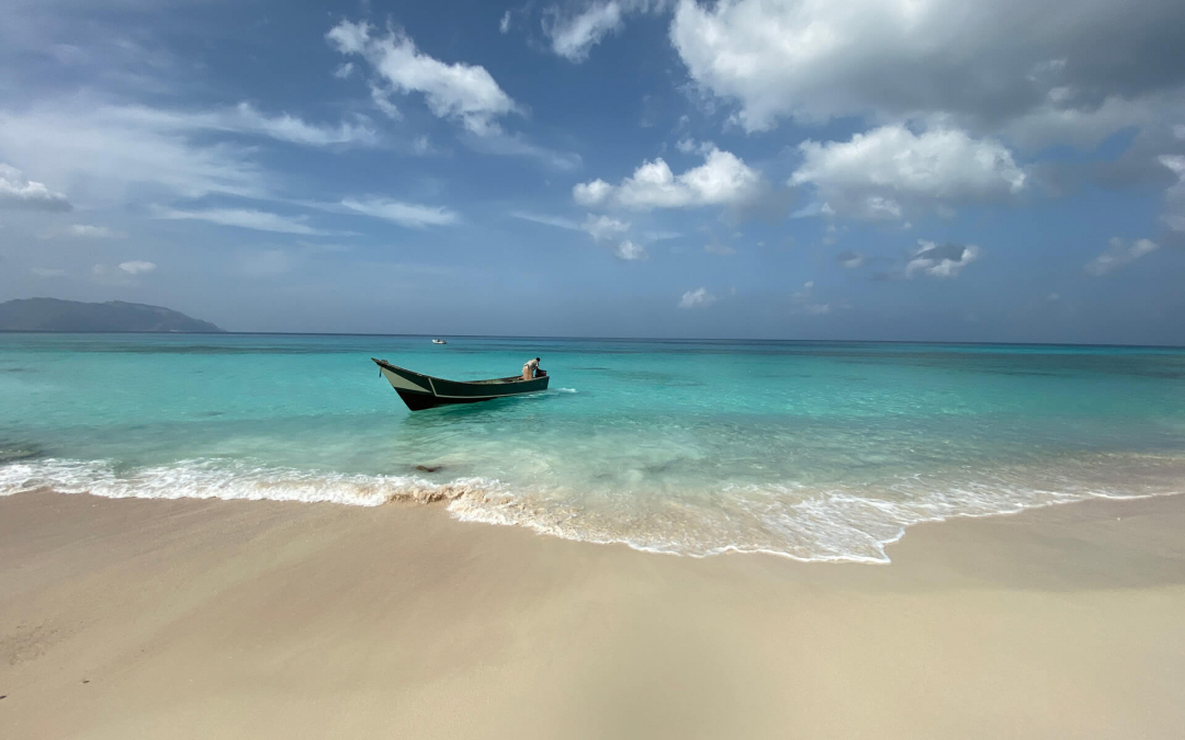 Socotra-pped On An Island Paradise: Day 7 – Rico Shuaab-ey