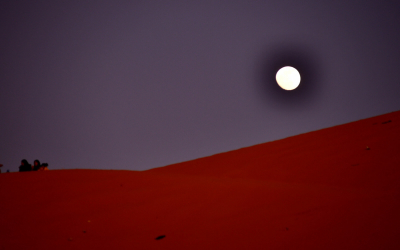 Aim High And Keep Your Eyes On The “Taghit”