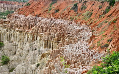 We Wanted To Go On A Safari, But Then They Told Us To “Kiss-ama” Ass!