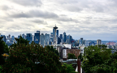 Views So Good, Almost Can’t “See-It-All”