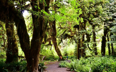 Hoh On Tight! It’s Gonna Be Olympic Gold!