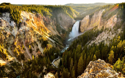 “Yellow” From the Other Side…