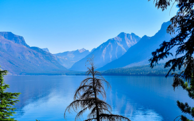 Monsooning at a Not-So-Glacier Pace