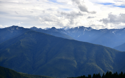 When the Monsoon Meets a Hurricane