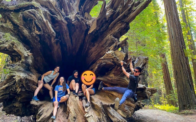 “Humboldt” by the Avenue of the Giants