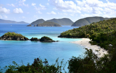 A Pause in Saint John