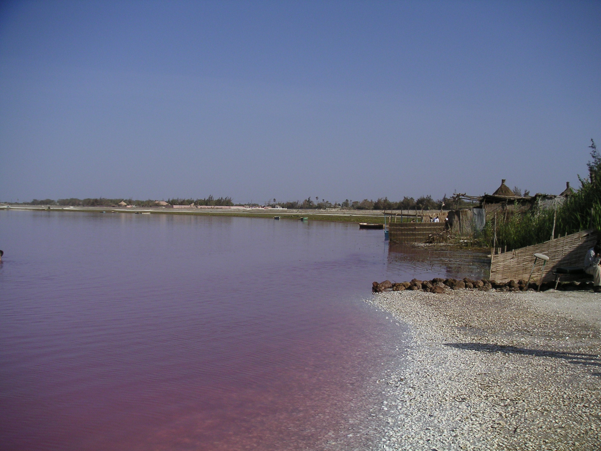 Lac Rose …By Any Other Name Would Look Just As Blue