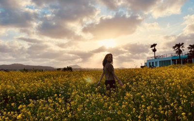 Jeju Know We’re Still in Jeju?