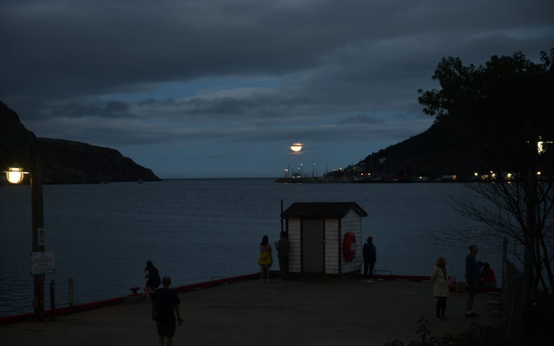 St. John’s: The Eastern Edge of Everything Everywhere All At Once